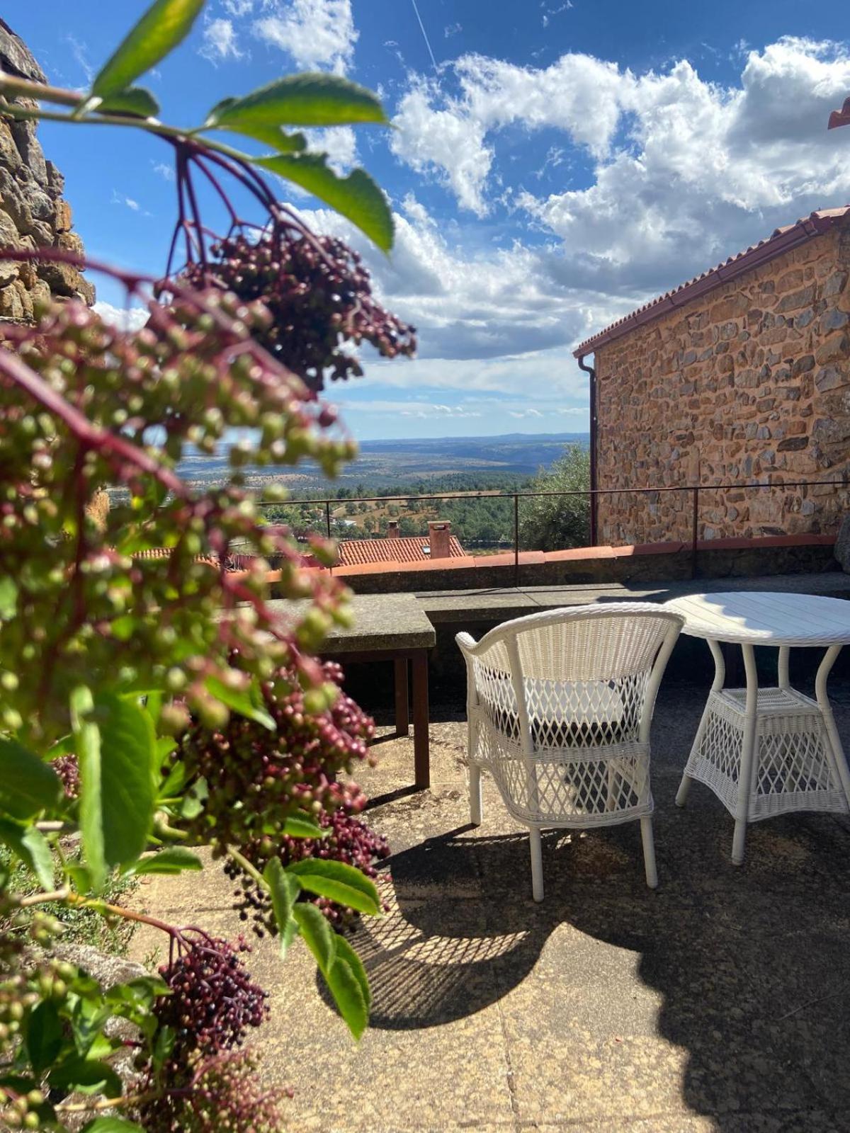 Affittacamere Casa da Cisterna Figueira de Castelo Rodrigo Esterno foto
